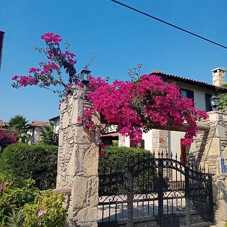 Oliva Houses1 4*